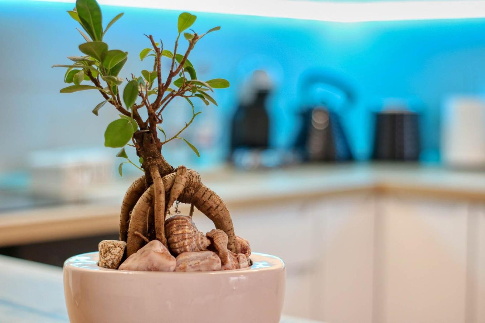Relaxation Station - My Charming, Cosy&Inviting Apt - Smart Thermostat - Private Parking - Ior Park - Long Term Price Cuts 부쿠레슈티 외부 사진